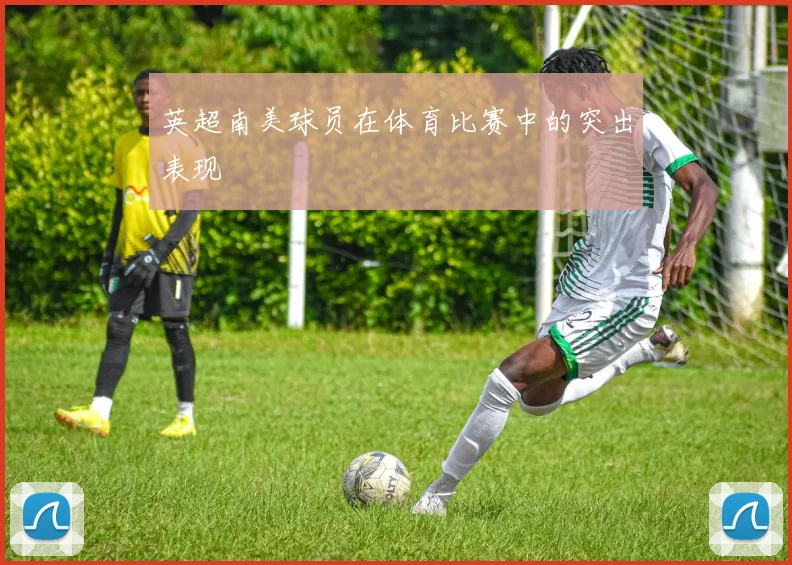 英超南美球员在体育比赛中的突出表现