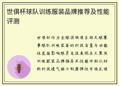 世俱杯球队训练服装品牌推荐及性能评测